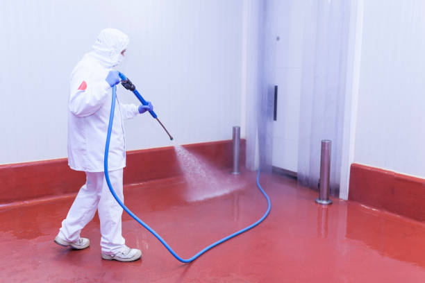 Best Spring Cleaning  in Amery, WI